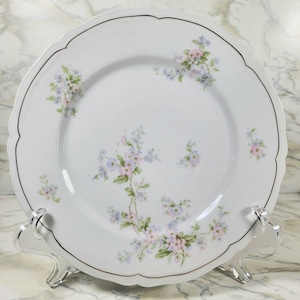 Antique Vienna Austria Crown China Dinner Plate