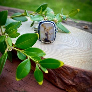 May include: A silver ring with a white and brown dendritic agate stone set in a rope-like band.