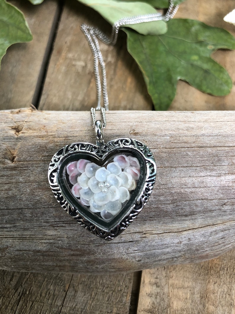 Shell Flower Necklace Locket Necklace Locket Pendant Heart locket Heart necklace Heart Jewelry Gift for her Keepsake Sea Sailor Valentines