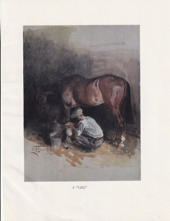 Fox Hunting Horse Stables Leg Bandage Foxhounds 1944 Colour Etsy