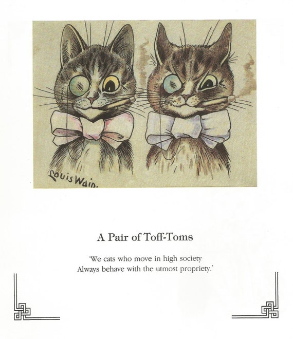 cat print toms