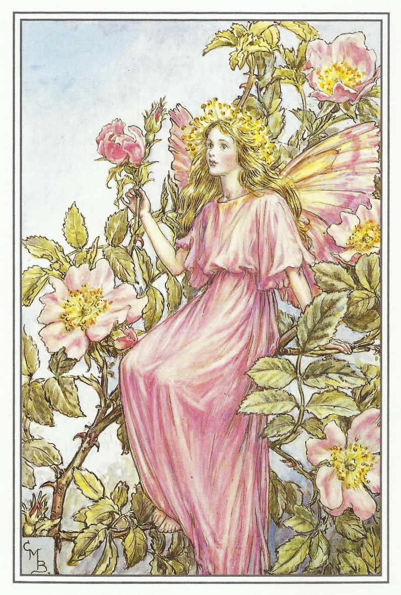 Wild Rose Fairy by Cicely Mary Barker Flower Fairies Vintage image 1