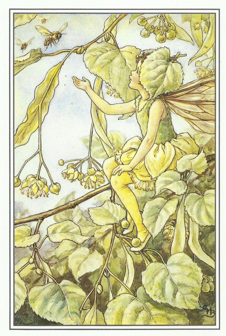 Lime Tree Fairy Cicely Mary Barker Flower Fairies Vintage image 1