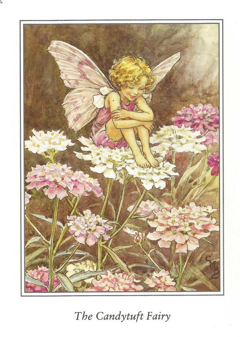 Candytuft Fairy Cicely Mary Barker Flower Fairies Vintage image 1