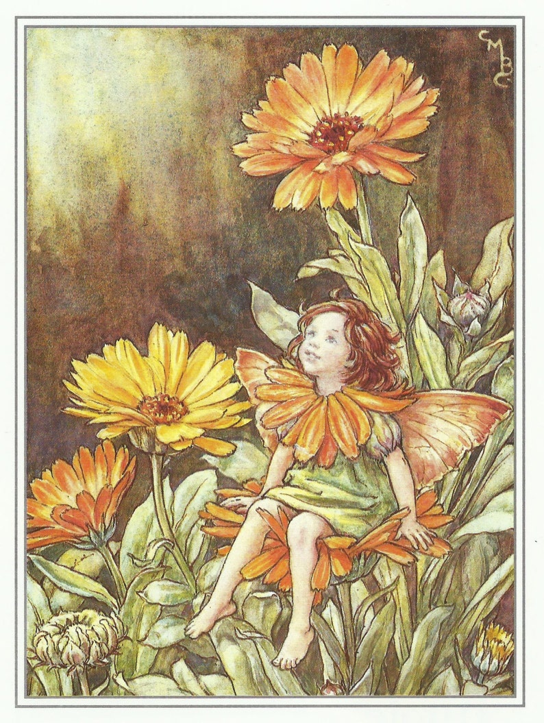 Marigold Fairy Cicely Mary Barker Flower Fairies Vintage Print Etsy
