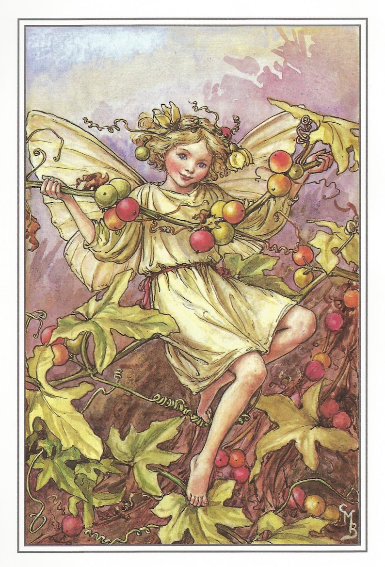 The White Bryony Fairy Cicely Mary Barker Flower Fairies image 1