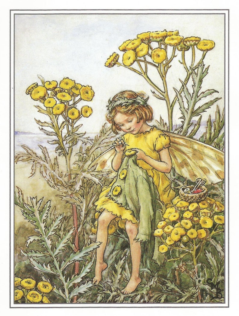 The Tansy Fairy Cicely Mary Barker Flower Fairies Vintage image 1