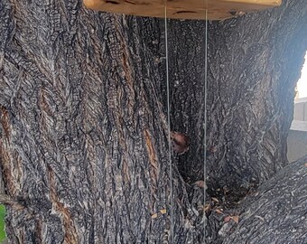 50 Caliber Shell Cholla Cactus Wood Wind Chime #2