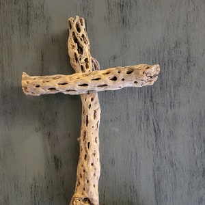 Cholla Cactus Cross  w/ root