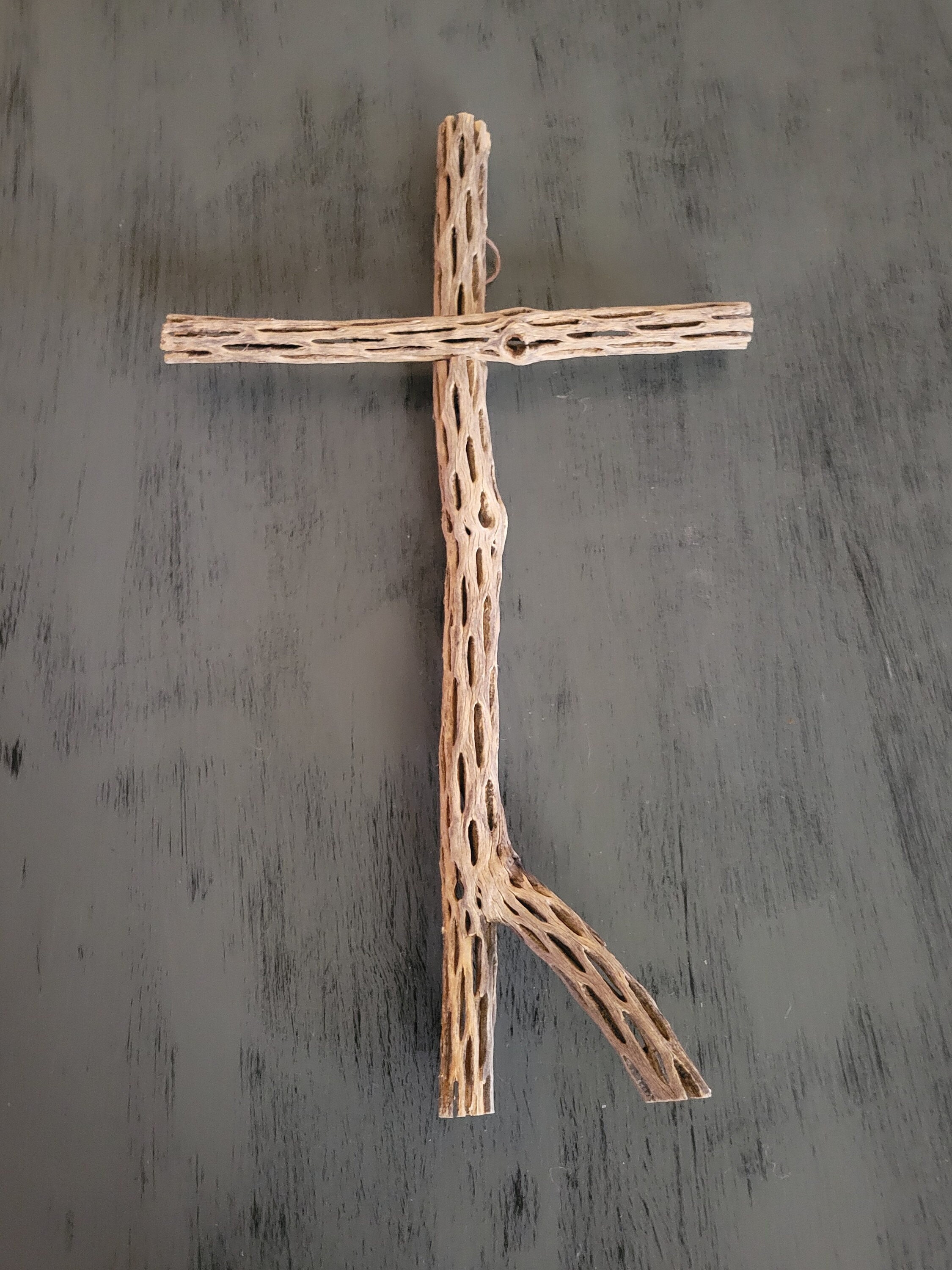 Cholla Cactus Cross - Etsy