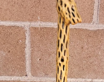 Cholla Cactus Walking/Hiking Stick 51"   (N)