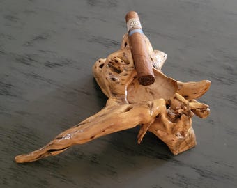 Cholla Cactus Single Cigar Ashtray #4