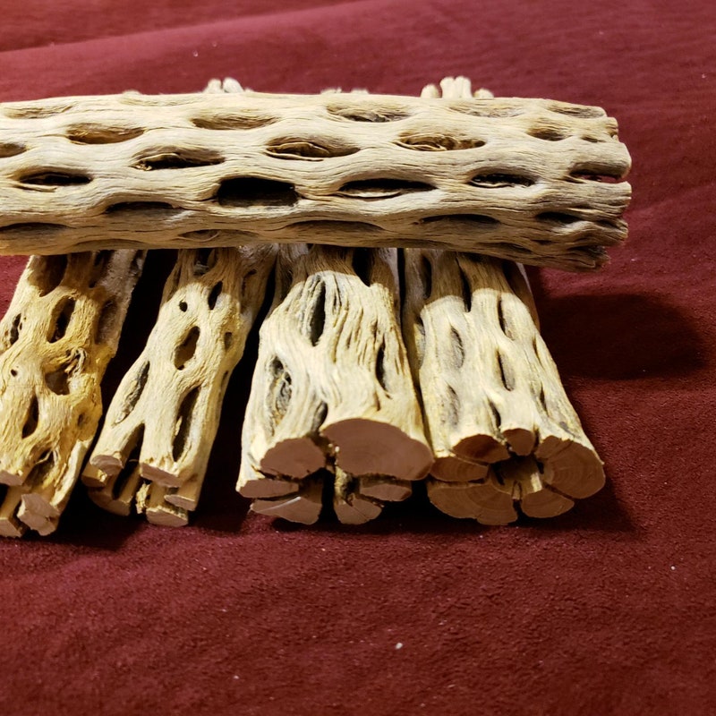 Cholla Wood - Etsy
