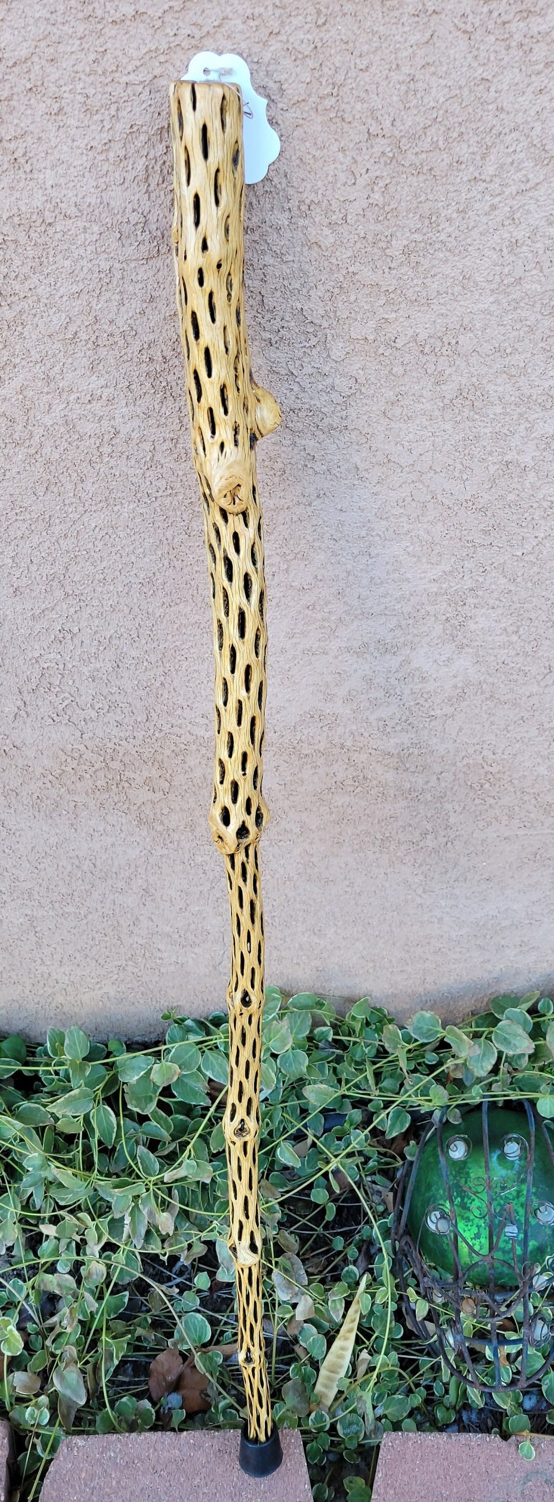 Cholla Cactus Walking/Hiking Stick 43" (K)