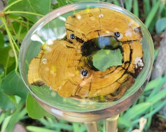 50 Caliber Shell Cholla Cactus Wood Wind Chime #6
