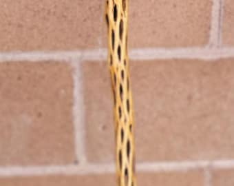 Cholla Cactus Walking/Hiking Stick 52"   (O)