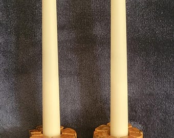 Cholla Cactus Candle Stick Holders Set 2