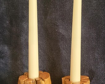 Cholla Cactus Candle Stick Holders Set 3