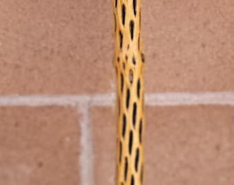 Cholla Cactus Walking/Hiking Stick 50"   (C)