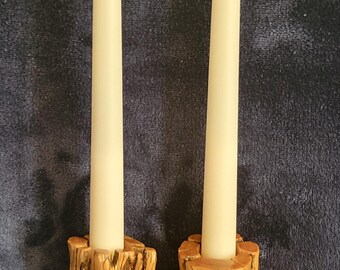 Cholla Cactus Candle Stick Holders Set 1