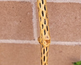Cholla Cactus Walking/Hiking Stick 44"   (P)