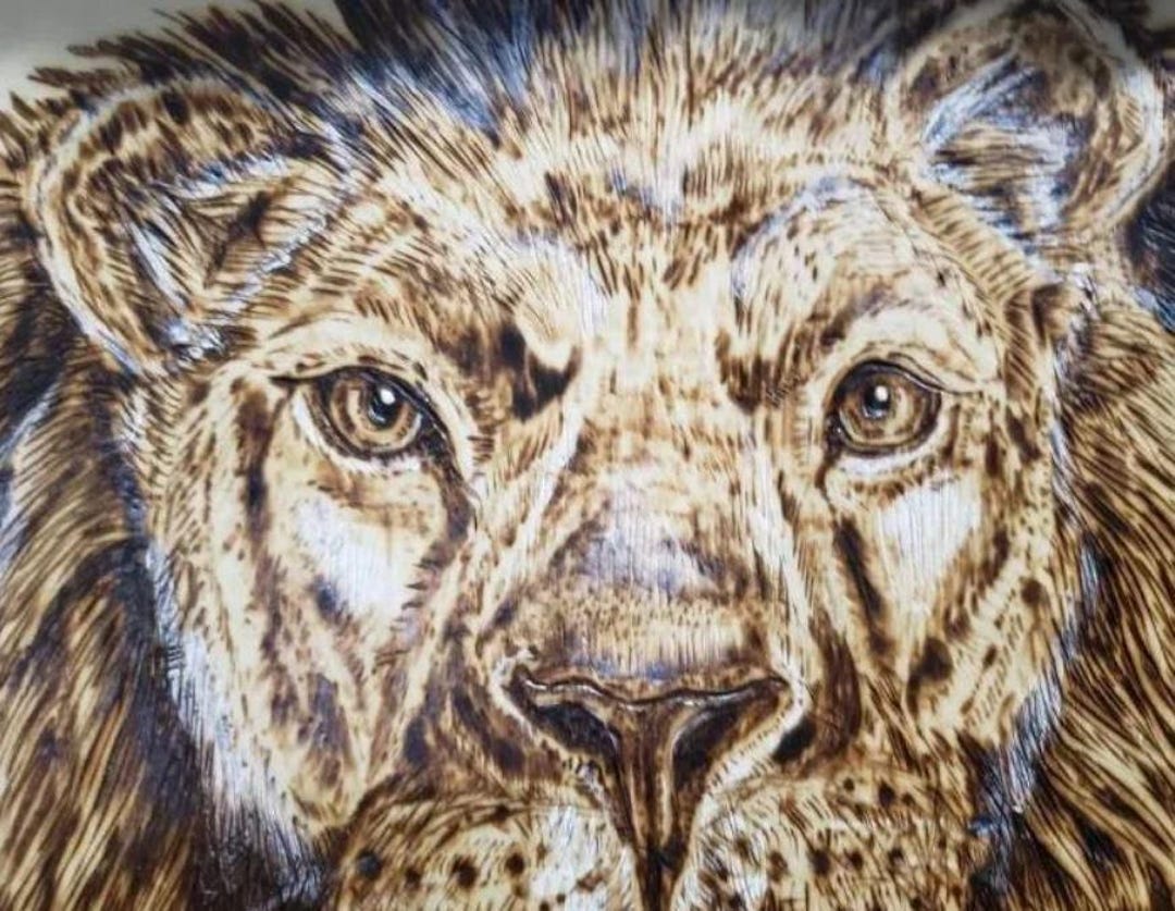 Sea Shell Pyrography Sea Lion Wood Burning Pyrography With Shells - Etsy