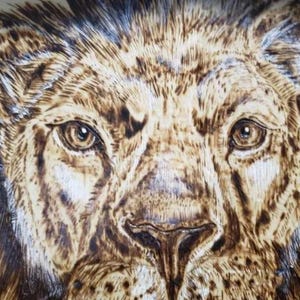 Lion Wood Burning - Etsy