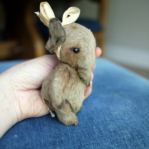 May include: A small, brown, furry toy animal with a cream-coloured ribbon tied around its head. The toy is being held in a person's hand.