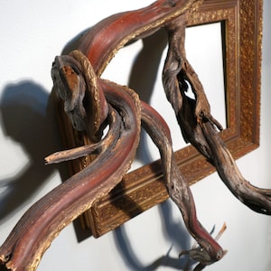 May include: A rustic wooden frame with a gold finish and intricate details. The frame is shaped like a twisted branch and has a red-brown patina. The frame is perfect for displaying a unique piece of art or a special photograph.