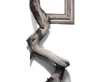 Fusion Frames NW Tree Branch Frame Sculpture - Hera: Antique 19th Century Frame (wood & gesso) with Grafted Pine Tree Branch
