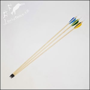 Peut inclure: Trois flèches en bois avec des pointes noires et des empennages colorés. Les empennages sont bleus, verts et jaunes.