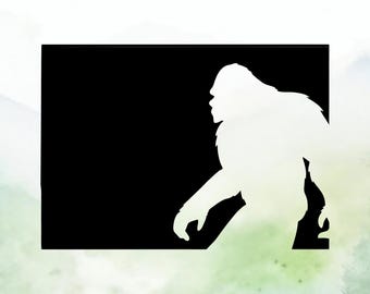 Bigfoot Colorado Vinyl Decal | Sasquatch Colorado Vinyl Decal | Car Decal | Window Decal | Indoor/Outdoor | Permanent