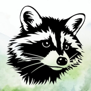 Raccoon Vinyl Decal | Car Decal | Window Decal | Laptops. Journals and More | Indoor/Outdoor | Permanent