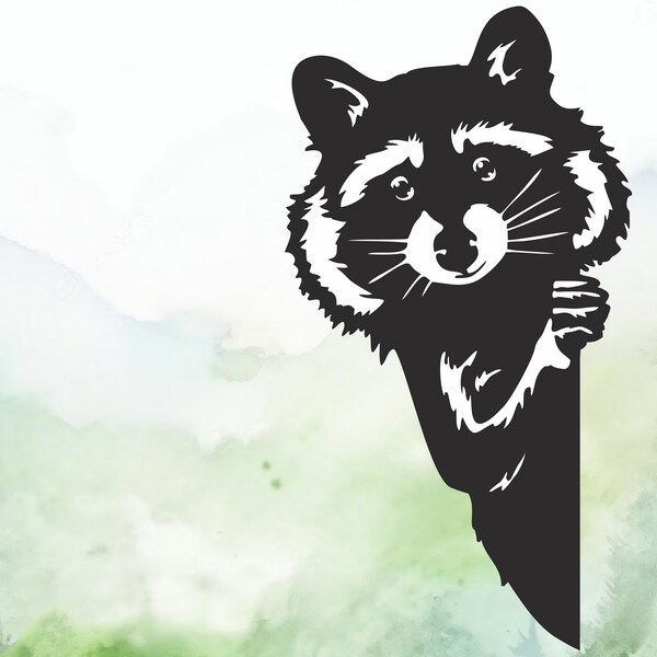 Peeking Raccoon Vinyl Decal | Car Decal | Window Decal | Laptops. Journals and More | Indoor/Outdoor | Permanent