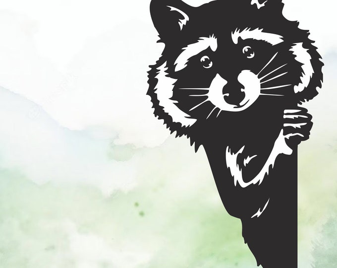 Featured listing image: Peeking Raccoon Vinyl Decal | Car Decal | Window Decal | Laptops. Journals and More | Indoor/Outdoor | Permanent