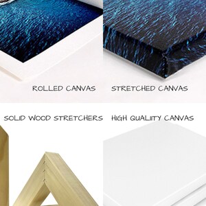 May include: Two options for displaying canvas prints: rolled canvas, which is shipped in a tube, and stretched canvas, which is mounted on a wooden frame. The stretched canvas option features solid wood stretchers.
