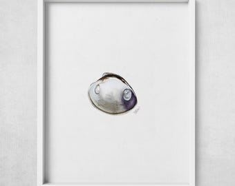 Clam Shell Watercolor Print – Coastal Fine Art for Beach House or Kitchen