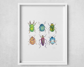 Colorful Beetles Poster Print – Vibrant Insect Wall Art for Nature Lovers