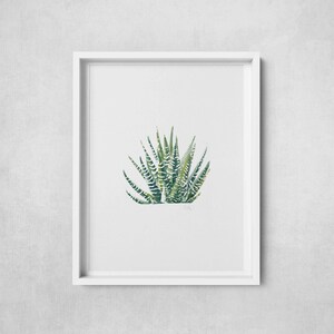 Zebra Kaktus Aquarell Poster - Gerahmte oder ungerahmte, Sukkulenten-inspirierte Wanddekoration
