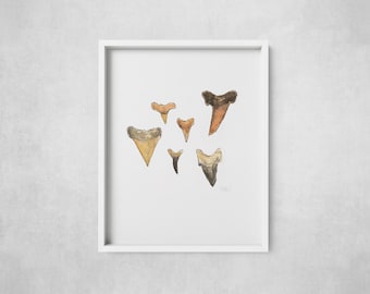 Shark Teeth Poster Print – Coastal Nautical Wall Decor for Ocean Lovers