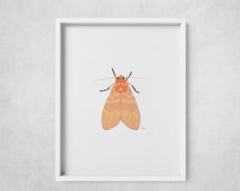 Moth, IV - Orange Moth Digital Chalk-Style Poster Print – Whimsical Wall Art
