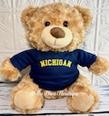Personalized Teddy Bear Shirt: Custom Name Plushie Tee Fits Most 14" Stuffed Animals