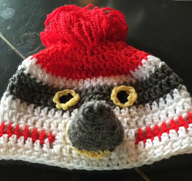 Pileated Woodpecker Crochet Hat Etsy