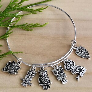 Owls Hoot Hoot 6 different Owls Silver charms Expandable Bangle Bracelet