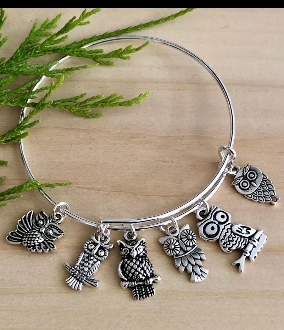 Silver Owl Charm Bangle Bracelet: Expandable, Adjustable, Owl Lover Gift