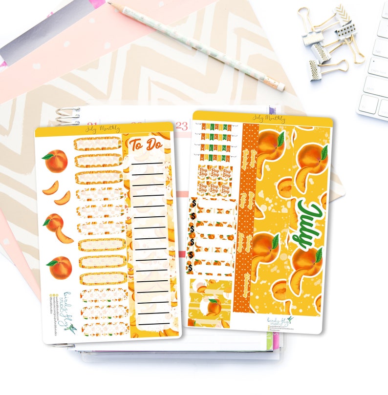 July MONTHLY Kit Planner Stickers 007 Monthly Spread for Erin Condren Stickers for ECLP Themed Monthly Planner Stickers