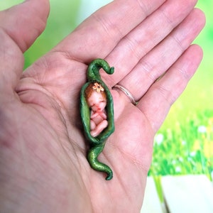 Peut inclure: Une petite sculpture d'un bébé niché dans une gousse de pois verte. Le bébé a la peau claire, les cheveux roux et une petite fleur sur la tête. La gousse de pois est vert vif avec une tige recourbée. La sculpture est tenue dans une main.