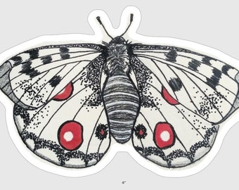 Round Apollo Butterfly Vinyl Sticker - Etsy
