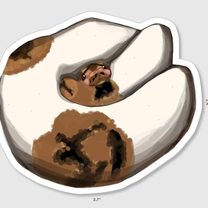 May include: A sticker of a curled up snake with brown and white markings. The snake is curled up in a circle with its head in the center. The sticker is 2.7 inches in diameter.