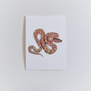 May include: A hand-drawn illustration of a snake with orange and brown scales. The snake is curled up in a circle, with its head facing the viewer.